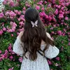 aster_203