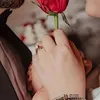 xfran_zaxoy