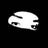 rapz_zyin