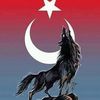 mehmet.a.t.tuglu