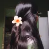 rayllathais_