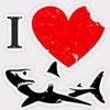 sharks_alldays