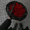 user53173520627