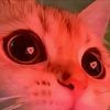 katxx._.101