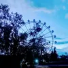 mic_tzy8