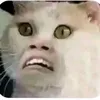 marielamchuppal3