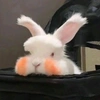 cuterabbit017