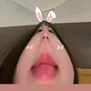 thỏ bé