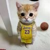 jake_that_guy11