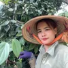 thu.phuong1382