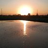ahmed.ghazy106