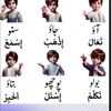 rafiqqambrani526