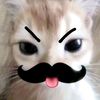 naswaa_81