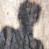 pathtoinvisibleself