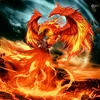 _phoenix_282