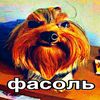 user35613669803597