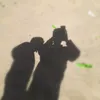 _.vtj