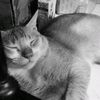 muhammad.alfin897