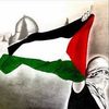 anwr.alshwafy