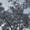 user13065502346651