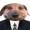 itzbrzdn