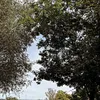 priv_acc_30