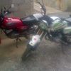 user7065304918161