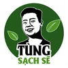 Tùng sạch sẽ