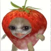 miaorine