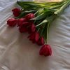 user1140221922888