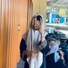 شليحة