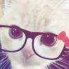 jarinphon__55