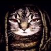 hiswag