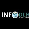 dlh.flotim