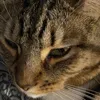 billy.handsome
