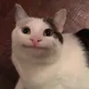 youtube.videos978