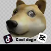 robloxdogeyboi0