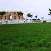 mosabalshafei