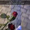 sarmami18