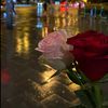 alaa.elsayed8295