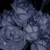 sparkle4rose