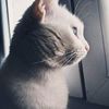 mina.mour4
