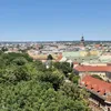 sara_kot4