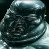 joethedodo