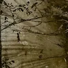 0111225l