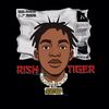 Rish Tiger