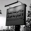 user9126879165086