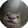 chrispypoland