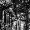 ali.hassanien1