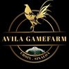avilagamefarm